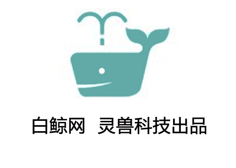 白鲸网.jpg