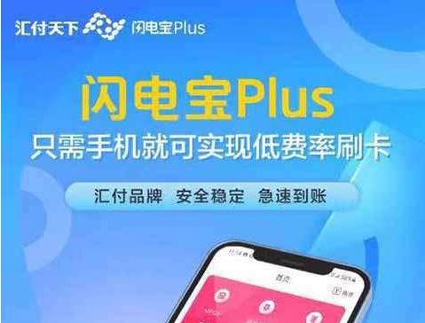 汇付天下闪电宝PLUS简介,闪电宝PLUS怎么赚钱？