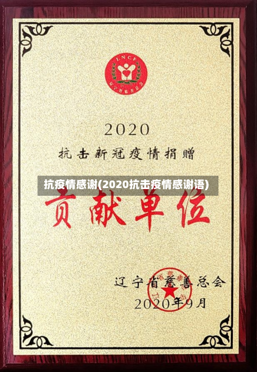 抗疫情感谢(2020抗击疫情感谢语)-第2张图片