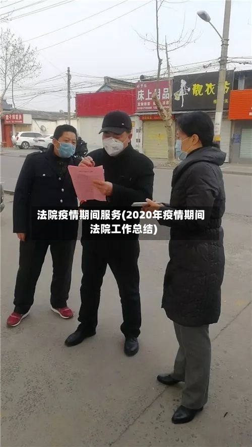 法院疫情期间服务(2020年疫情期间法院工作总结)-第2张图片