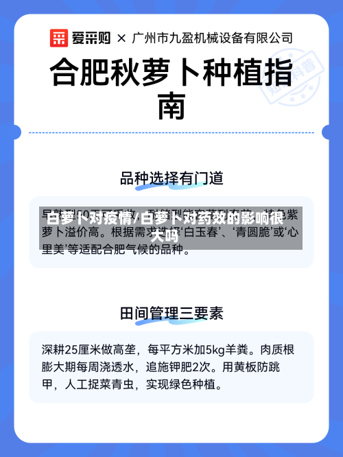 白萝卜对疫情/白萝卜对药效的影响很大吗