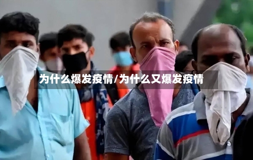 为什么爆发疫情/为什么又爆发疫情
