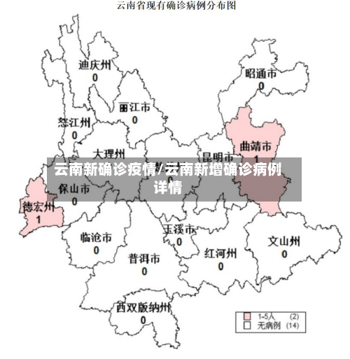 云南新确诊疫情/云南新增确诊病例详情