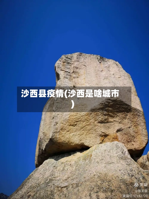 沙西县疫情(沙西是啥城市)-第3张图片
