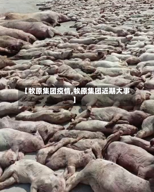 【牧原集团疫情,牧原集团近期大事】-第2张图片