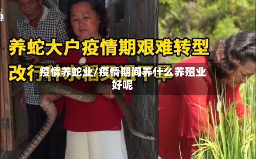 疫情养蛇业/疫情期间养什么养殖业好呢