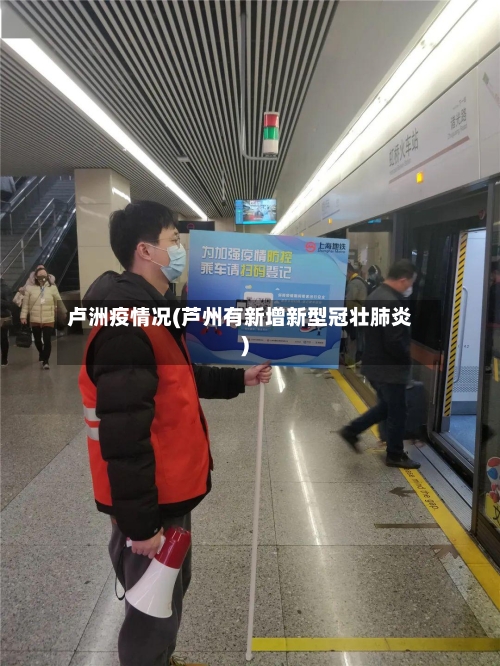 卢洲疫情况(芦州有新增新型冠壮肺炎)-第3张图片