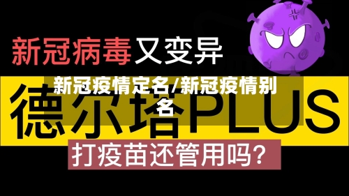 新冠疫情定名/新冠疫情别名