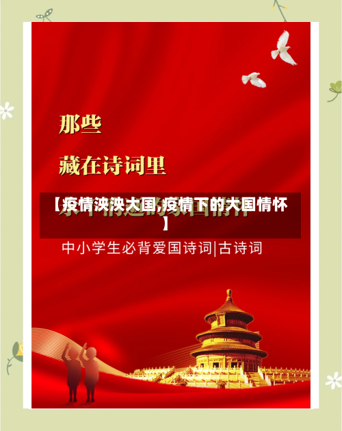 【疫情泱泱大国,疫情下的大国情怀】-第3张图片