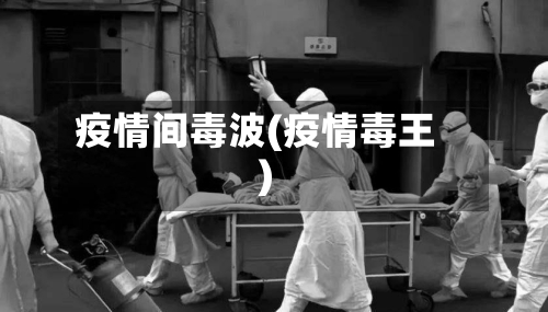 疫情间毒波(疫情毒王)-第3张图片