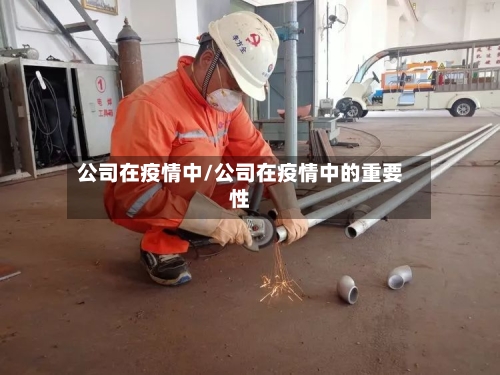 公司在疫情中/公司在疫情中的重要性-第3张图片