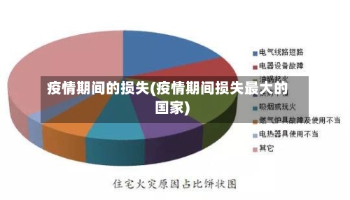 疫情期间的损失(疫情期间损失最大的国家)-第2张图片
