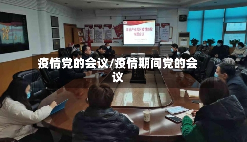疫情党的会议/疫情期间党的会议