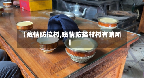 【疫情防控村,疫情防控村村有哨所】-第2张图片