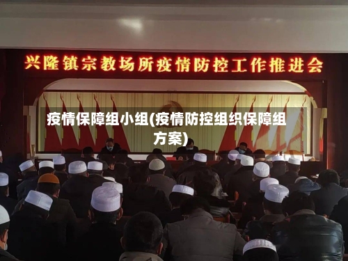 疫情保障组小组(疫情防控组织保障组方案)