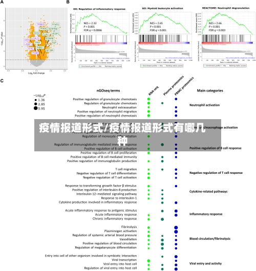 疫情报道形式/疫情报道形式有哪几种-第2张图片