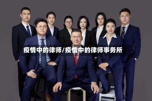 疫情中的律师/疫情中的律师事务所