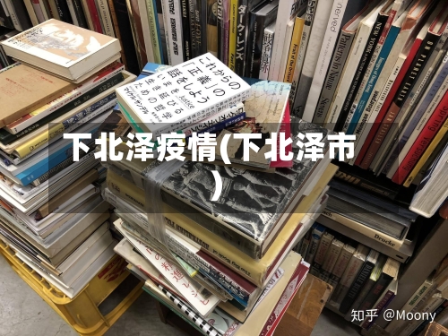 下北泽疫情(下北泽市)