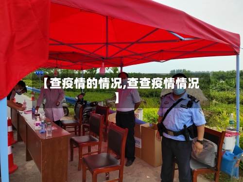 【查疫情的情况,查查疫情情况】-第2张图片