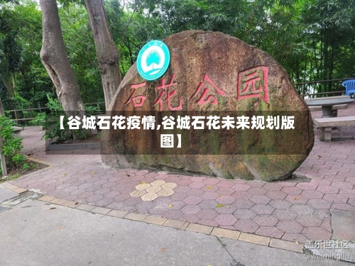 【谷城石花疫情,谷城石花未来规划版图】