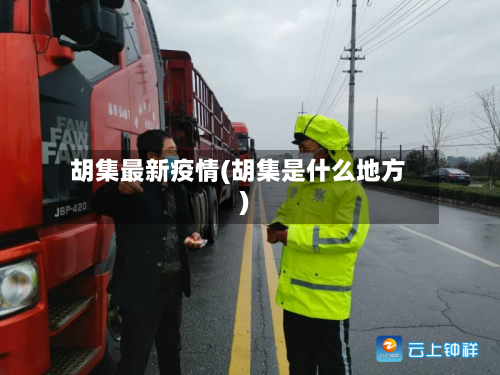 胡集最新疫情(胡集是什么地方)