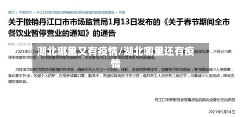 湖北哪里又有疫情/湖北哪里还有疫情