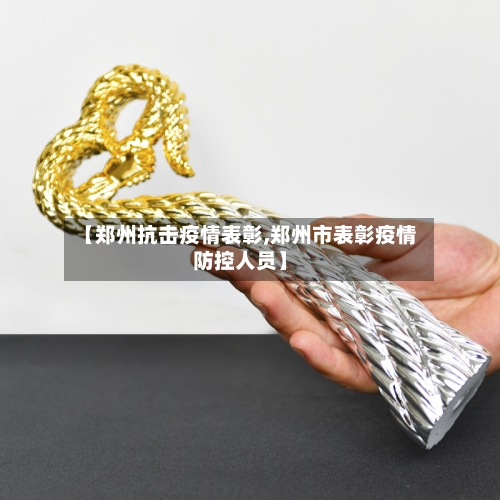 【郑州抗击疫情表彰,郑州市表彰疫情防控人员】-第2张图片