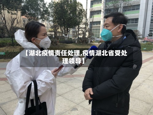 【湖北疫情责任处理,疫情湖北省受处理领导】