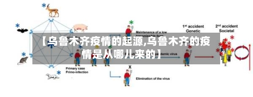 【乌鲁木齐疫情的起源,乌鲁木齐的疫情是从哪儿来的】