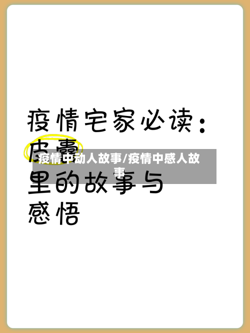疫情中动人故事/疫情中感人故事