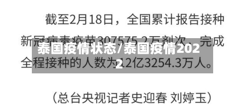泰国疫情状态/泰国疫情2022-第3张图片