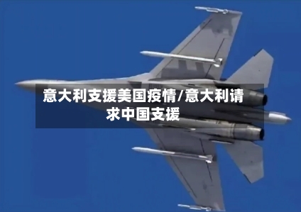 意大利支援美国疫情/意大利请求中国支援