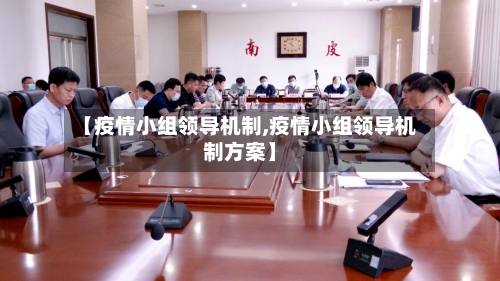 【疫情小组领导机制,疫情小组领导机制方案】