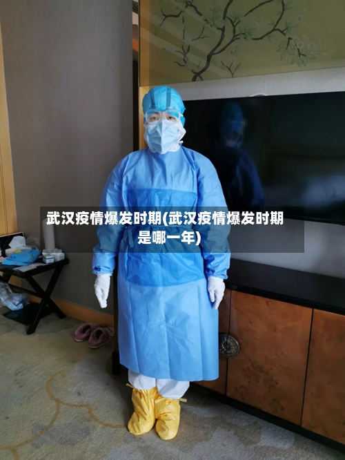 武汉疫情爆发时期(武汉疫情爆发时期是哪一年)-第2张图片