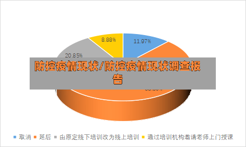 防控疫情现状/防控疫情现状调查报告