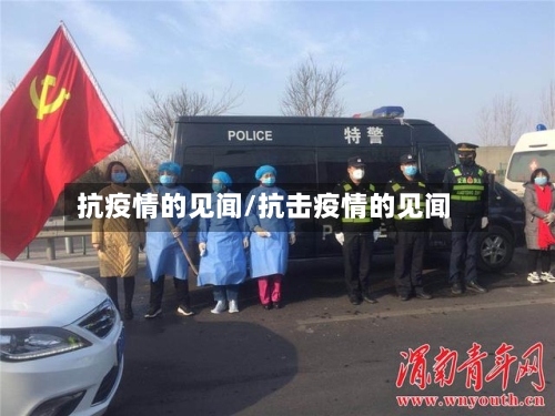 抗疫情的见闻/抗击疫情的见闻