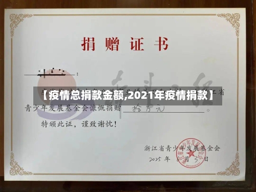 【疫情总捐款金额,2021年疫情捐款】-第2张图片