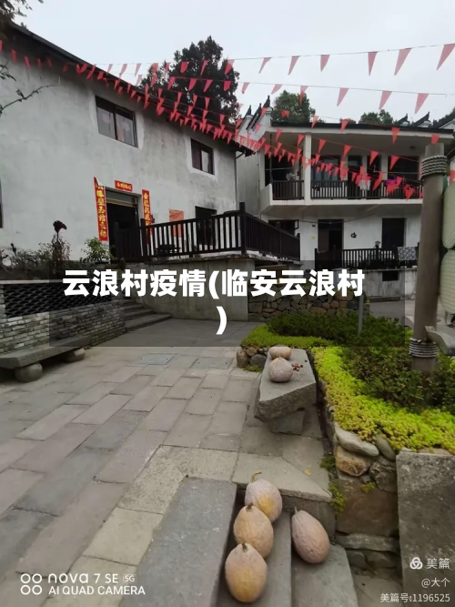 云浪村疫情(临安云浪村)-第3张图片