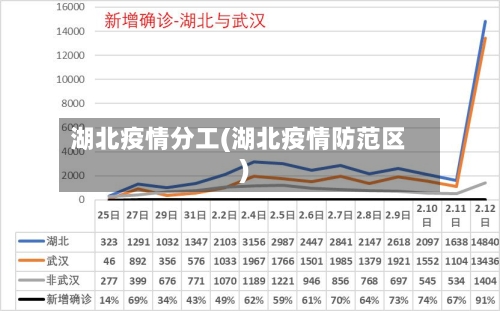 湖北疫情分工(湖北疫情防范区)