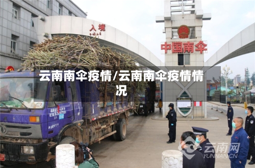 云南南伞疫情/云南南伞疫情情况-第2张图片