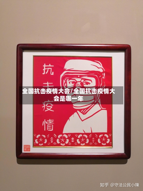 全国抗击疫情大会/全国抗击疫情大会是哪一年