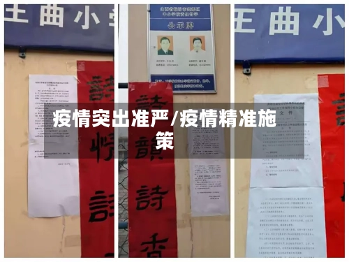 疫情突出准严/疫情精准施策-第3张图片
