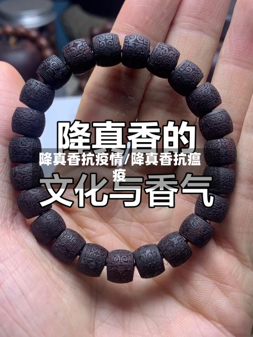 降真香抗疫情/降真香抗瘟疫-第2张图片