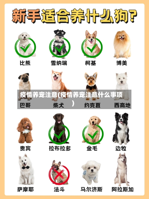 疫情养宠注意(疫情养宠注意什么事项)