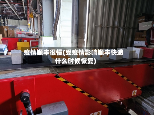 疫情顺丰很慢(受疫情影响顺丰快递什么时候恢复)-第3张图片