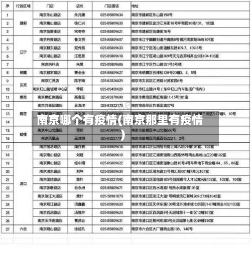 南京哪个有疫情(南京那里有疫情)-第2张图片
