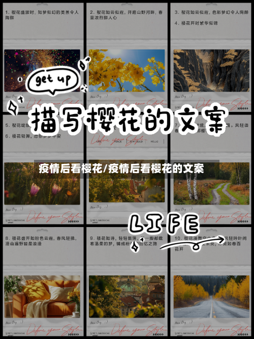 疫情后看樱花/疫情后看樱花的文案