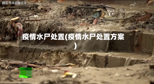 疫情水尸处置(疫情水尸处置方案)-第2张图片