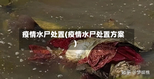 疫情水尸处置(疫情水尸处置方案)