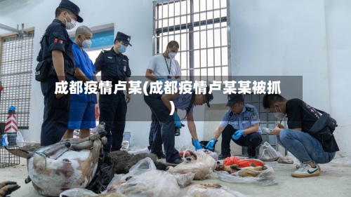 成都疫情卢某(成都疫情卢某某被抓)-第3张图片